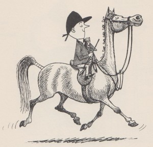 toelettatura 001