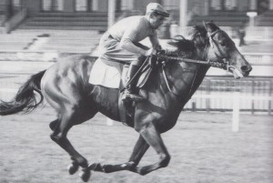 ribot2 001