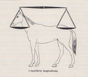 bilancia longitudinale 001