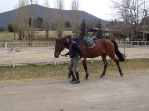 DSCN0052